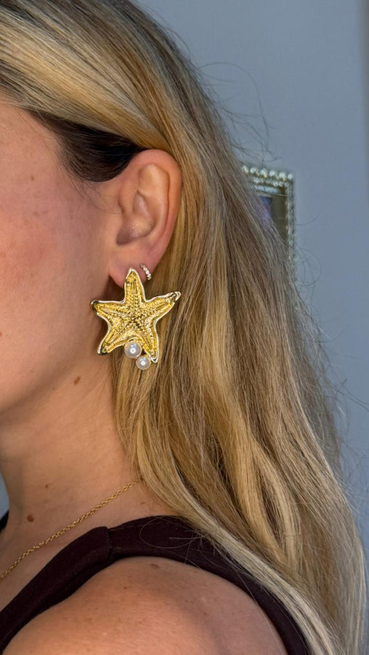 Stelle marine perle